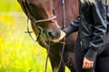 Close-up of woman feeding her arabian horse with snacks Royalty Free Stock Photo