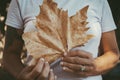 Close up of woman hand holding big yellow autumn maple leaf alone in outdoor leisure activity. Concept of people and nature Royalty Free Stock Photo