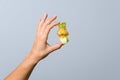 Close up woman hand holding green apple core against grey background. ecological organic food individual attributes