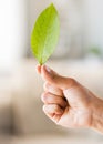 Close up of woman hand holding green leaf Royalty Free Stock Photo