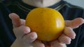 Close up of woman hand holding orange fruit Royalty Free Stock Photo