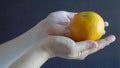 Close up of woman hand holding orange fruit Royalty Free Stock Photo