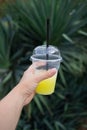 Close up of woman hand holding yellow lemon juice in plastic cup Royalty Free Stock Photo