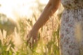 Close up woman hand is touching flower grass in field Royalty Free Stock Photo