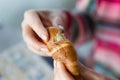 Close up of woman hands with bun or wheat bread