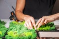 Close-up of woman hands gluing stabilized moss. Process of working with decorative reindeer moss. Royalty Free Stock Photo