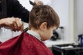 Close-up of woman hands grooming kid boy hair in barber shop Royalty Free Stock Photo