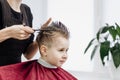 Close-up of woman hands grooming kid boy hair in barber shop Royalty Free Stock Photo