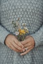 Close up of woman hands holding floreal flowers natural bouquet from field and meadow. People and nature connection. Grey