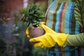 Woman hands holding flowerpot