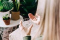 Close up of woman hands holding glass of water and tablet vitamin pills. Girl in living room with plants at home Royalty Free Stock Photo