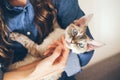 Close up of woman hands holding her Devon Rex cat. Home pets. Young woman is cuddling and hugging her cute curious Devon Rex cat Royalty Free Stock Photo