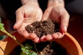 Close up of woman hands holding soil and earth with natural light, during home gardening, symbol of nature love Royalty Free Stock Photo