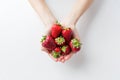 Close up of woman hands holding strawberries Royalty Free Stock Photo