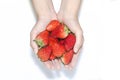 Close-up woman hands holding strawberries on white background Royalty Free Stock Photo