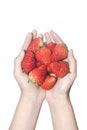 Close-up woman hands holding strawberries on white background Royalty Free Stock Photo