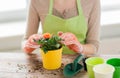 Close up of woman hands planting roses in pot Royalty Free Stock Photo