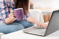 Close up of a woman hands typing in a laptop Royalty Free Stock Photo