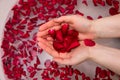 Valentines day surprise, close up woman holding red rose petals in hands,selfcare homespa