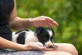 Close up of a woman holding small puppy on her lap Royalty Free Stock Photo