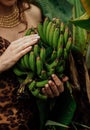 Close up of woman holding stem of fresh picked up bananas on the plantation Royalty Free Stock Photo