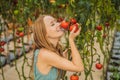 Close up of woman holding tomatoes on branch next to her face, thinking of eating it Royalty Free Stock Photo