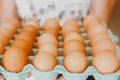 Close up of a woman holding a tray of free-range red eggs. The egg has nutrients with antioxidant action such as carotenoids,