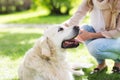 Close up of woman with labrador dog on walk Royalty Free Stock Photo