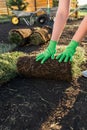 Close up woman laying sod for new garden lawn - turf laying concept Royalty Free Stock Photo