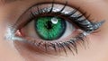 A close-up of a woman\'s eye with a green iris and bitcoin code reflected in it Royalty Free Stock Photo