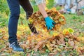 Close-up of woman's hand with bunch of leaves, in autumn garden Royalty Free Stock Photo