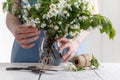 Close-up of woman`s hand holding a branch of spring blooming apple tree.Florist concept