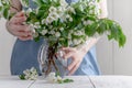 Close-up of woman`s hand holding a branch of spring blooming apple tree.Florist concept