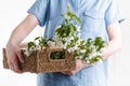 Close-up of woman`s hand holding a branch of spring blooming apple tree.Florist concept