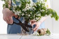 Close-up of woman`s hand holding a branch of spring blooming apple tree.Florist concept