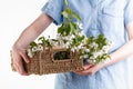 Close-up of woman`s hand holding a branch of spring blooming apple tree.Florist concept