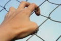 Close-up woman& x27;s hand holding on to the bars of a metal mesh. Royalty Free Stock Photo