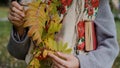 Close-up of a woman& x27;s hand leafing through the pages of a book. Autumn leaves are nested between the pages of the book Royalty Free Stock Photo