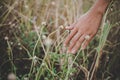 Close up of a woman`s hand touching grass in field. Royalty Free Stock Photo