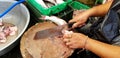 Close up woman`s hand use knife to cut or slice fresh Catfish fish on wooden butcher