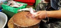 Close up woman`s hand use knife to cut or slice fresh Catfish fish on wooden butcher for cleaning, cooking and preparing food Royalty Free Stock Photo