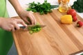 Close up of woman`s hands cooking in the kitchen. Housewife slicing fresh salad. Vegetarian and healthily cooking Royalty Free Stock Photo