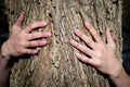 Close-up of Woman`s Hands embracing a Tree Trunk in the Forest. Tree hugging. Back to Nature concept. Touch and Love Royalty Free Stock Photo