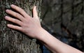 Close-up of Woman`s Hands embracing a Tree Trunk in the Forest. Tree hugging. Back to Nature concept. Touch and Love Royalty Free Stock Photo