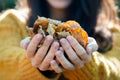 close up of a woman's hands full of autumn leaves towards the camera