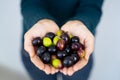 Close up of a woman`s hands holding a handful of olives Royalty Free Stock Photo