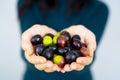 Close up of a woman`s hands holding a handful of olives Royalty Free Stock Photo