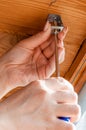 Close-up of a woman`s hands holding a screwdriver Royalty Free Stock Photo