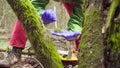 Scientist ecologist in the forest taking samples of plants Royalty Free Stock Photo