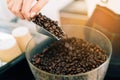 Close up a woman scoops coffee beans into an electric coffee grinder. Coffee-making class for start-up entrepreneurs.